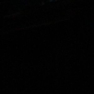 Meet your Posher, Dale